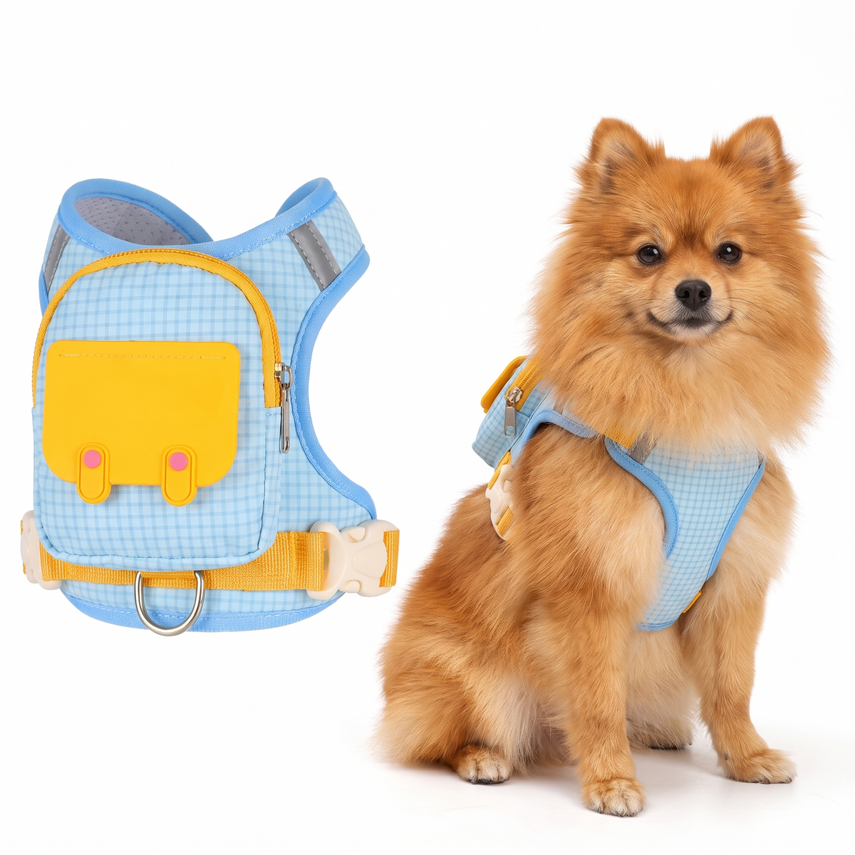 Blue-and-yellow backpack harness beside an adult Pomeranian wearing it