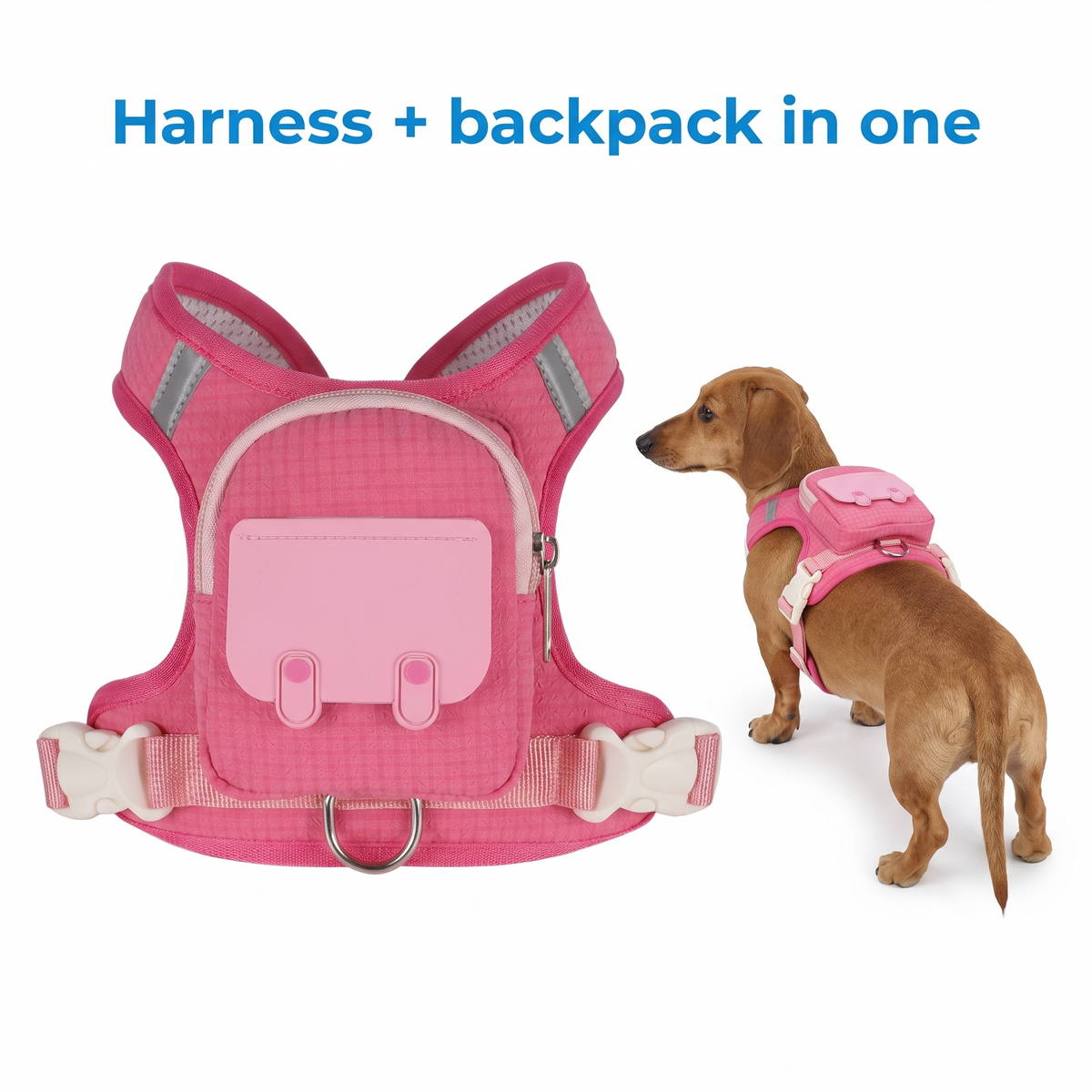 Pink harness and backpack beside a Dachshund wearing it